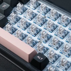 10/30 PCS TTC Speed Silver Keyswitch V2 Factory Fine Run Linear Switch Game Fast Axis 45gf Mechanical keyboard switch