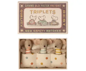 Baby Mice Triplets in Matchbox