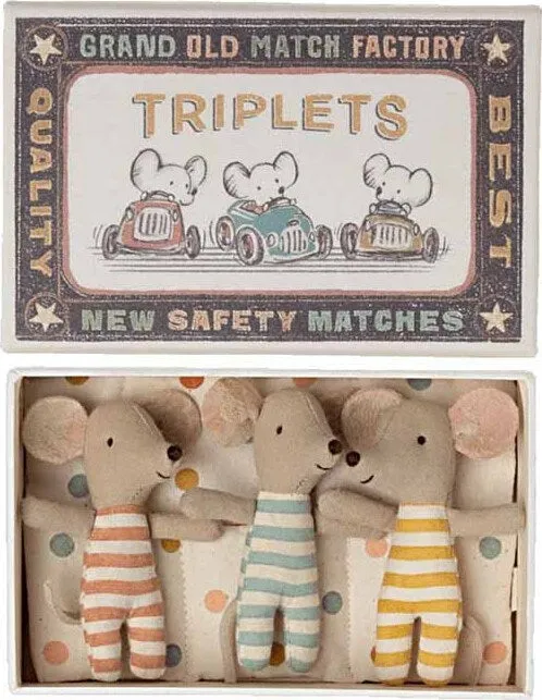 Baby Mice Triplets in Matchbox