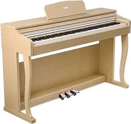 Digital Piano, 88 Key Full Weighted Keyboard Piano,Professional Acoustic Heavy Hammer Keyboard, Sustain Pedal, Digital Piano