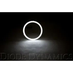 Diode Dynamics - DD2077S - Halo 120mm White (one)