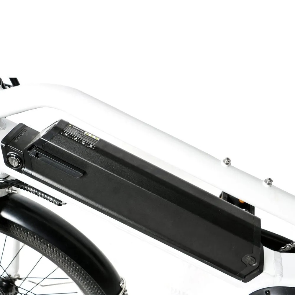 Eunorau MAX-CARGO 48V750W 24'' City Tire Long-Tail Electric Cargo Bike
