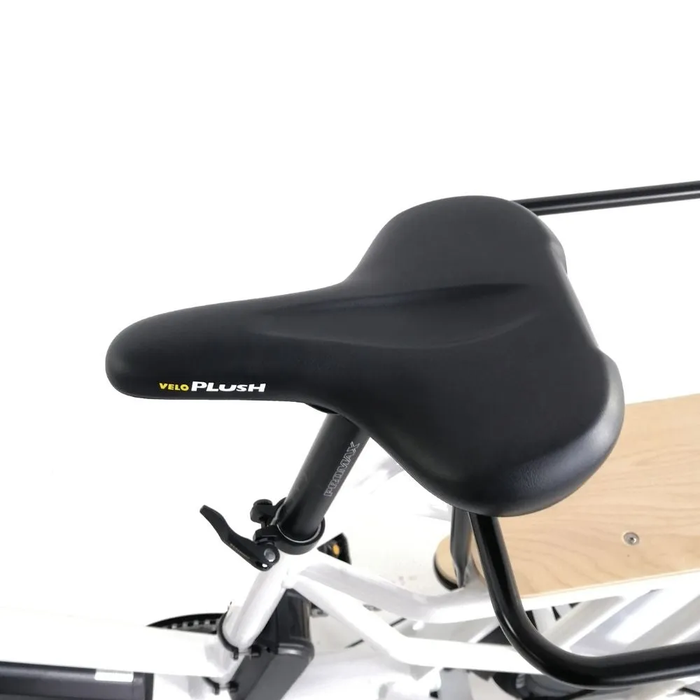 Eunorau MAX-CARGO 48V750W 24'' City Tire Long-Tail Electric Cargo Bike