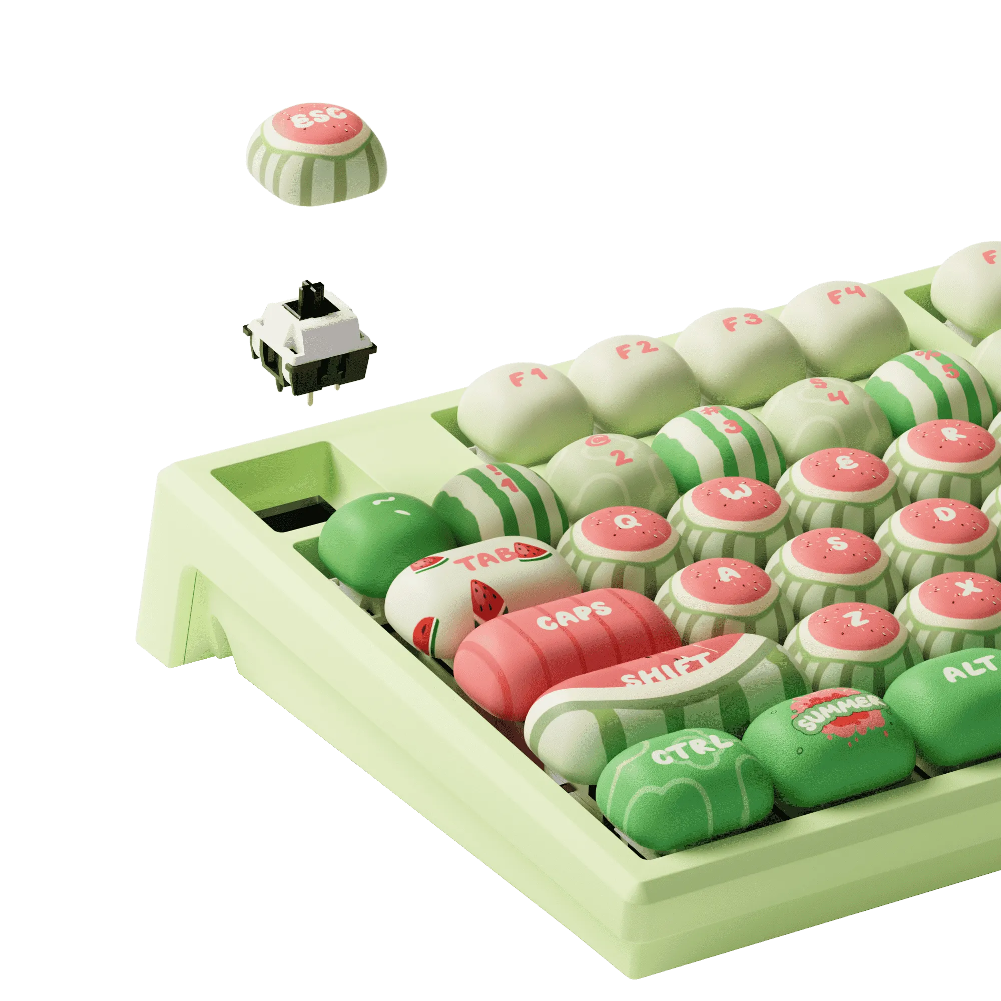 MG108B Watermelon