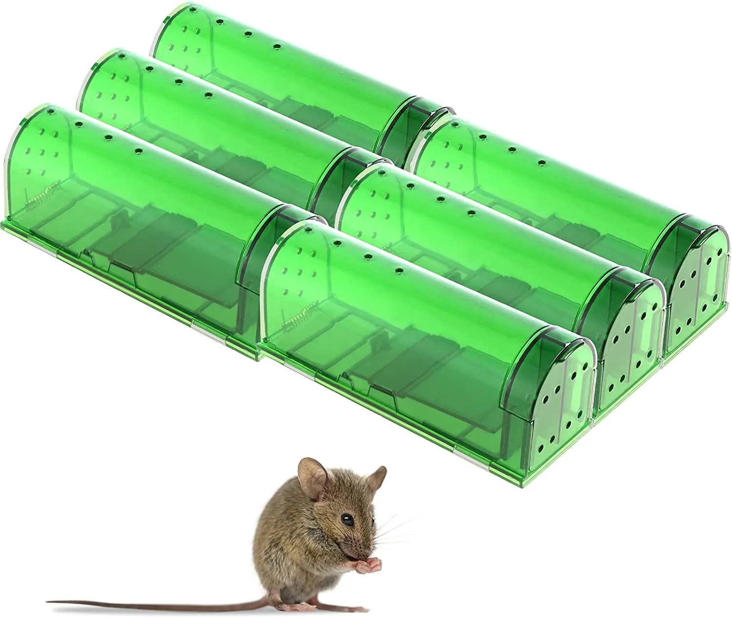 Mouse Trap Catch and Release, No Kill Mouse Traps