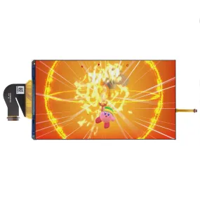 Nintendo Switch Lite LCD Replacement