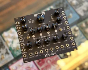 Strymon Magneto