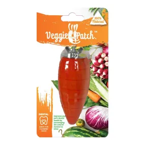 Veggie Patch Carrot to Gnaw Small Animal Treat